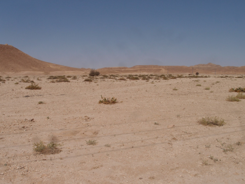 banks of Wadi Hanifa