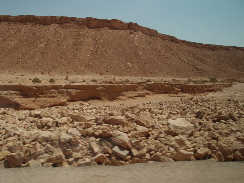 Banks of Wadi Hanifa