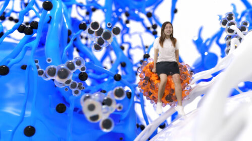 LIFE BOWL. A Hybrid Platform about Longevity and Traditional Chinese Medicine
